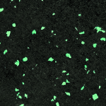 1710 gametime green 150x150