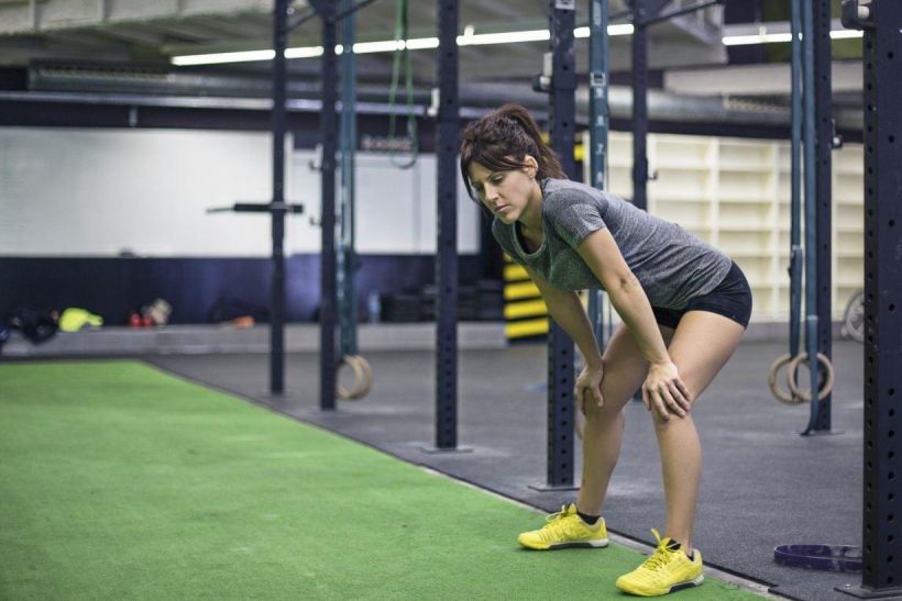 Gator® FIT Lite Artificial Turf – Rolls