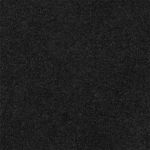 Black EZ Carpet