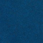 Blue EZ Carpet