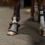 Stall Mats Equestrian